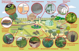 Fazenda Fazenda
