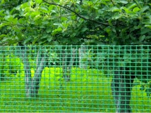 Fazenda Fazenda